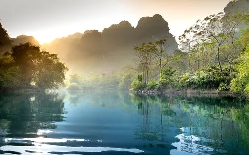 高效高性能